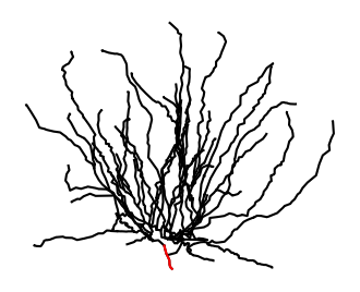 ../_images/d6aa92193608ec16480d3a7d066b7ccb8d851a8930b3b43d69dfd404756c5744.png