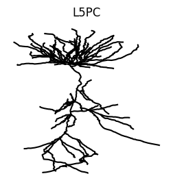../_images/14f015502bd5dcb5b5d5ff900871acbc819459c94094be0226b5b0d582fd4bd1.png