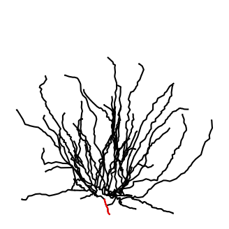../_images/ce47c676ff889b21c7399f460fdb061e811ab098d50b9038f2da27a918a00dda.png